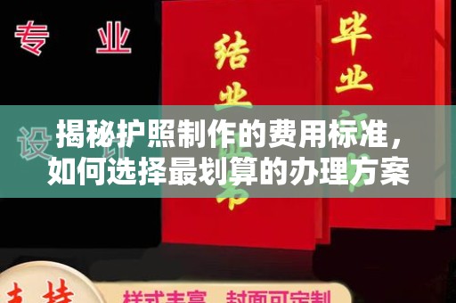 信阳揭秘护照制作的费用标准，如何选择最划算的办理方案？