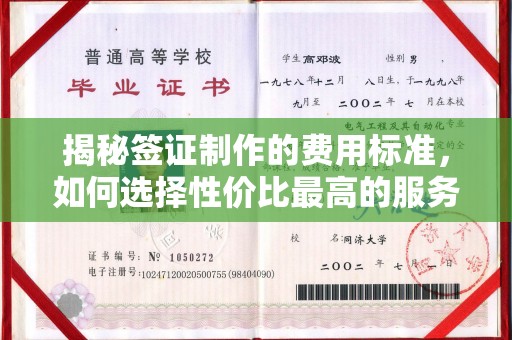 桥头揭秘签证制作的费用标准，如何选择性价比最高的服务？